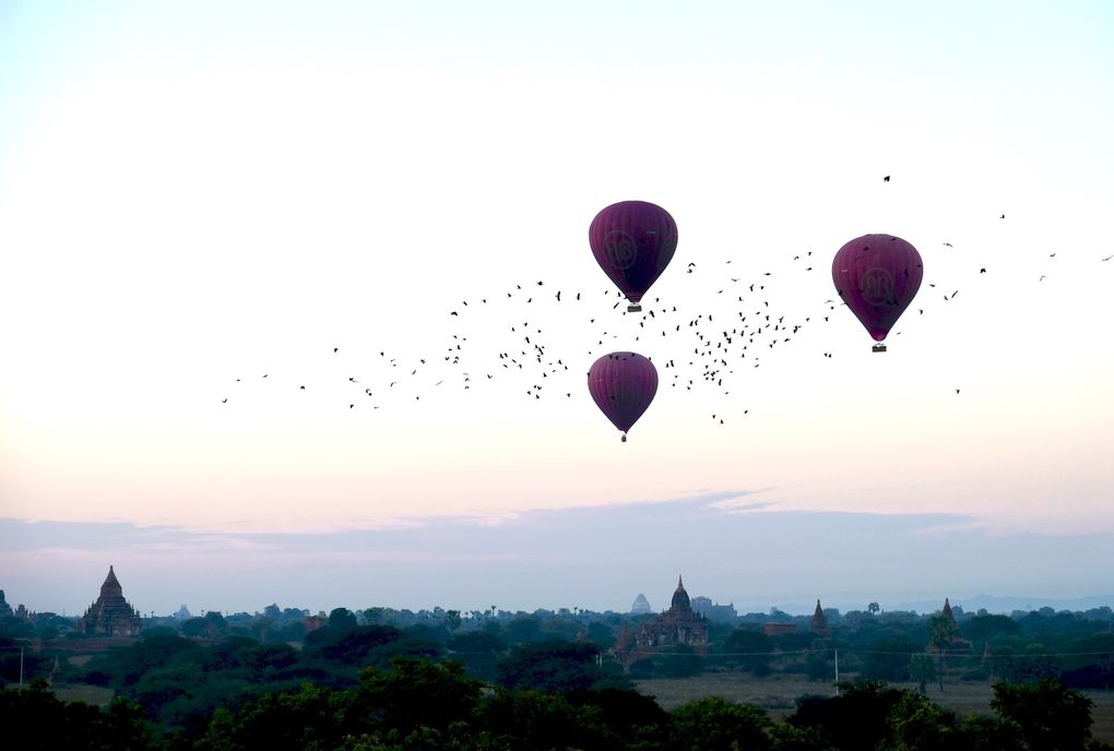 MYANMAR (Birmanie) 🇲🇲