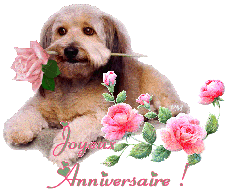 Anniversaire Chez Manou