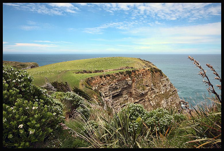 Album - New Zealand : ile du sud