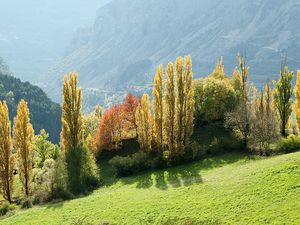 Octobre en Aragon