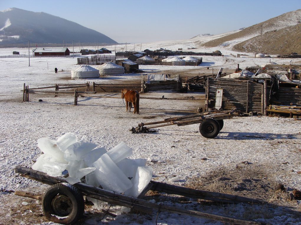 Découverte de la Mongolie en hiver - janvier 2014