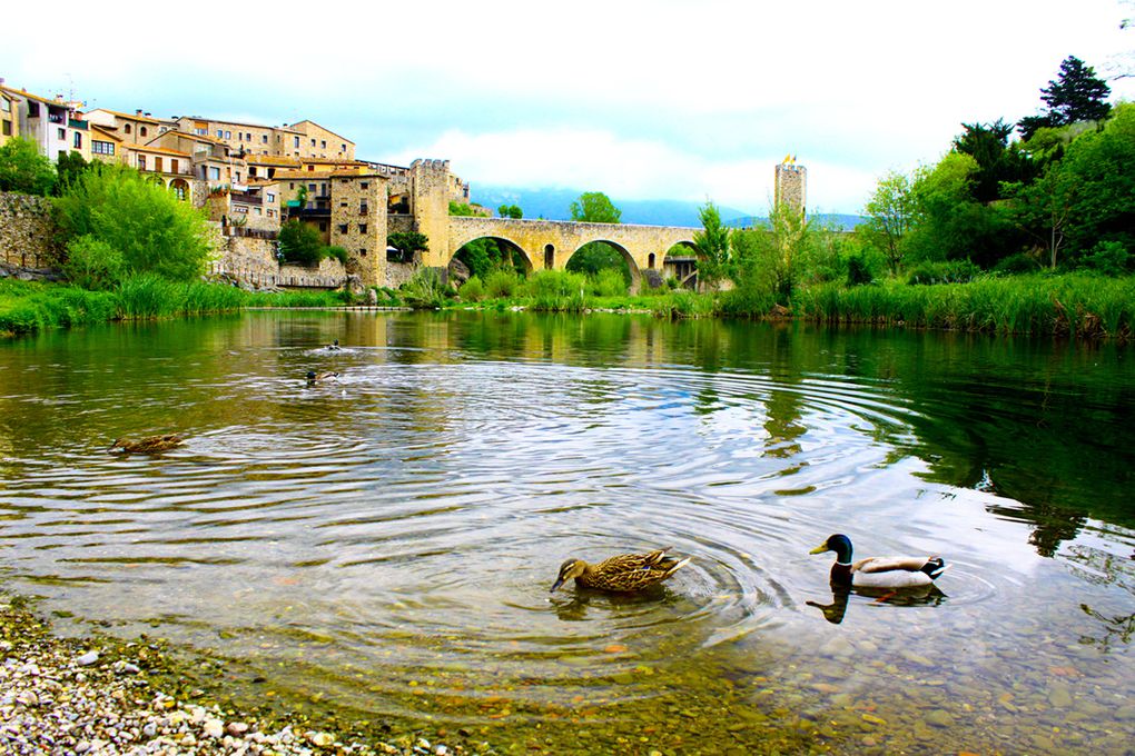 Barcelona, Burdeos, Tours, LagoBañola y pueblo medieval de Besalu (Cataluña), Chinon, Vallée de la Loire y encuentros con otros voluntarios