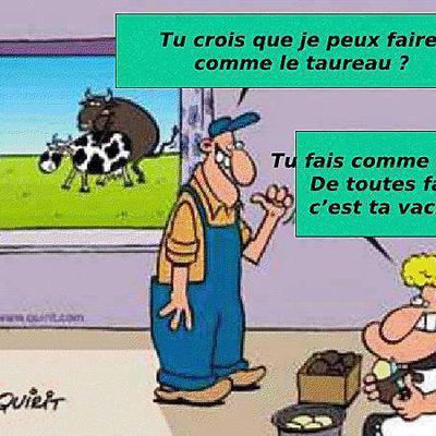 petite histoire vache dessinateur quirit...