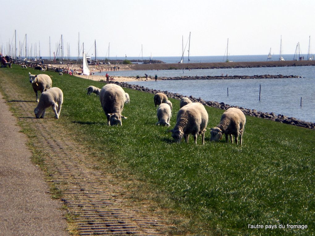 Petit viron familial via Utrecht, Amersfoort, le parc de Haute-Veluwe, Giethoorn et la Frise