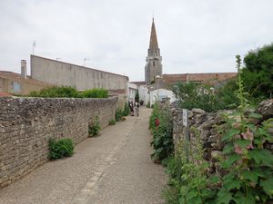 Promenade n° 24 de Juin 2018, Île de Ré, Rivedoux-Sainte-Marie