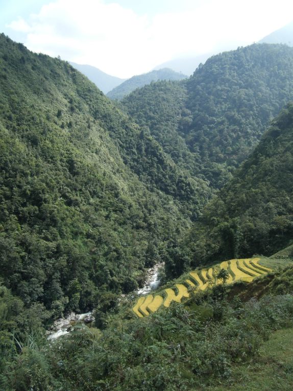 Album - Week end à Sapa