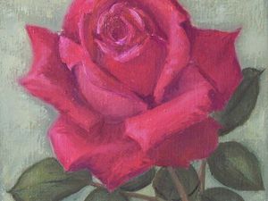 La révélation des roses (2 )