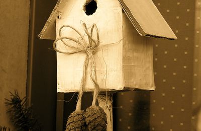 Birds House