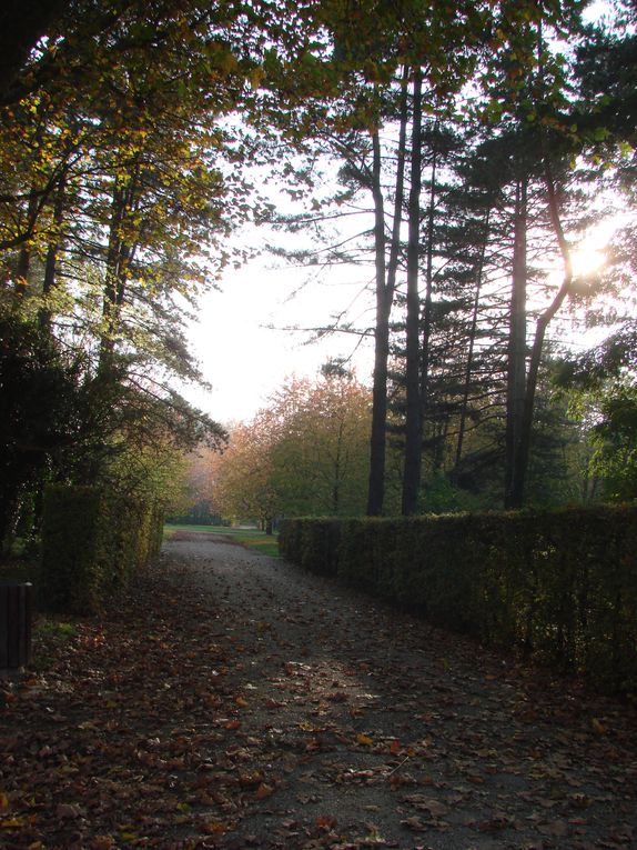 photos parc de sceaux automne 09
