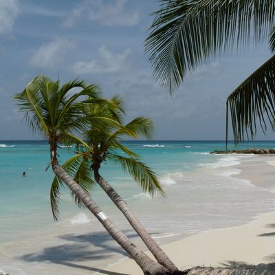 Wombi déménage sur "wombicuisine.canalblog.com"