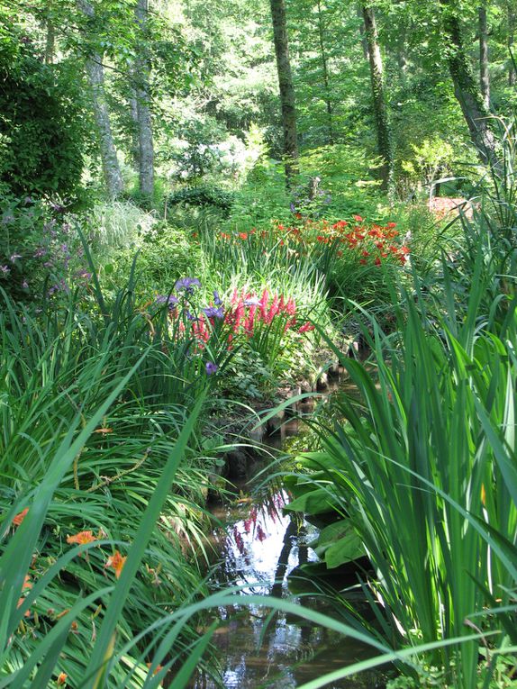 Album - Arboretum-des-Pres-des-Culands