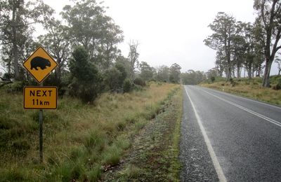 On the road - Day 240 to 251 - La Tasmanie... et ça repart! (part 2)