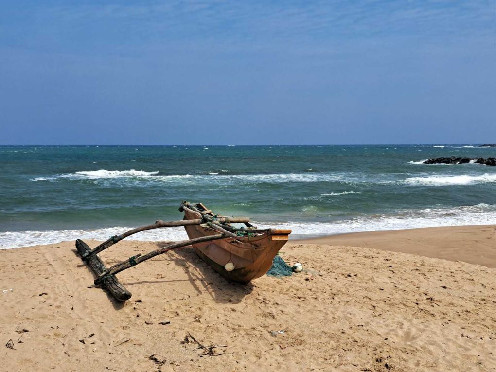 Le Sri-Lanka : Une perle de l'Océan Indien à découvrir