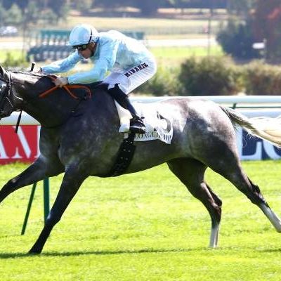 Quinté Samedi à Longchamp : Ficelle du Houley tient le bon bout !