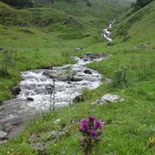 Hospice de France à l'étang de la Frèche , Aller/retour ( Haute-Garonne 31 ) AA Rando