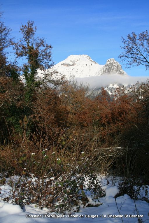 RANDO 2 - ECOLE EN BAUGES/CHAPELLE ST BERNARD