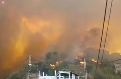 Feux de forêt ayant ravagé la Kabylie en août 2021 : une ONG algérienne basée à Paris révèle un bilan de 250 morts