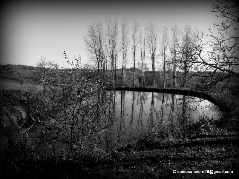 En Quercy Blanc...Montdoumerc