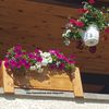 Jardinière recyclée en bois de palettes