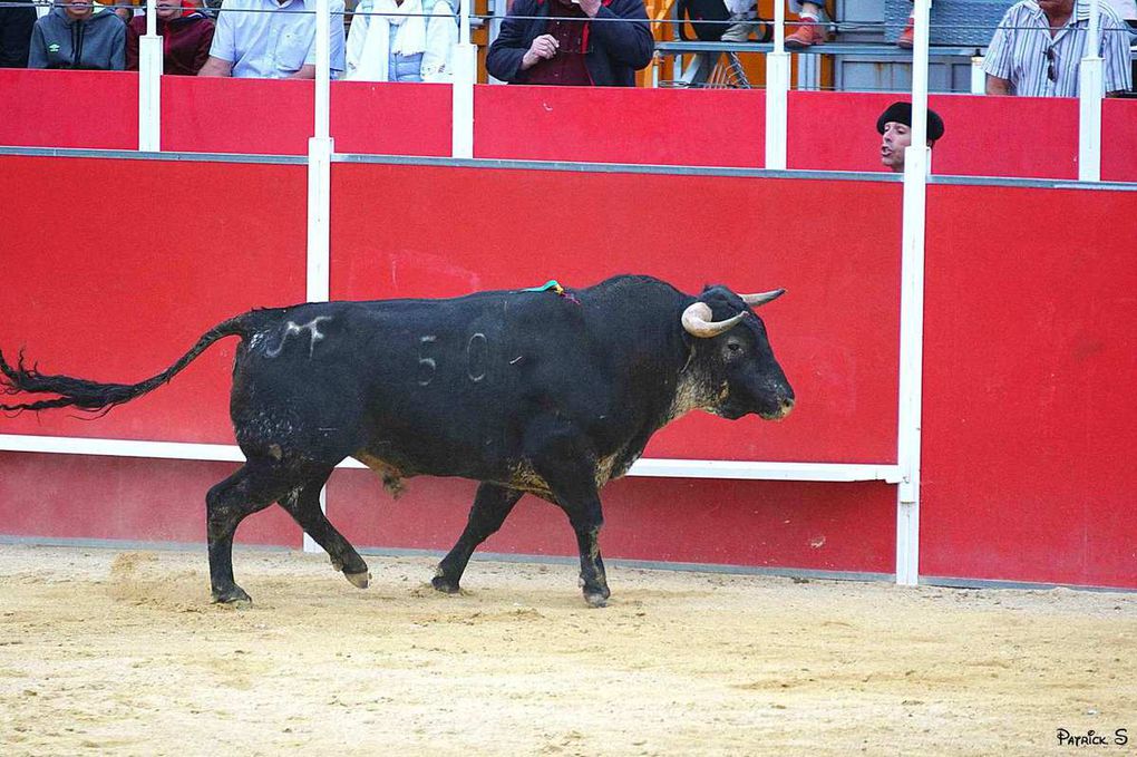 BOUJAN SUR LIBRON, Toros y Campo 1èr et 2 juillet