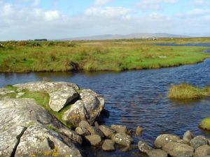 <p><strong>Un tour d'Irlande du sud vers le nord : cork ville rebelle, galway porte du connemara et Westport joli village dans le vent du nord. Fou rire, paysages d'un vert particulier, musique traditionnelle tous les soirs, gens tr&egrave;s accueillants, AJ dans un moulin, bi&egrave;re &agrave; volont&eacute; et minijupe garantis!</strong></p>