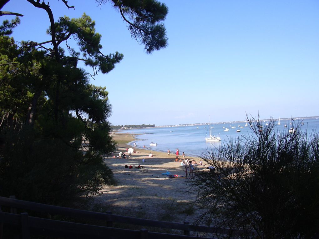 ILE D'OLERON 
ST TROJAN LA BALNEAIRE, LA BAIE DE GATSEAU, LE GRAND VILLAGE PLAGE ET SON PORT DES SALINES, ST PIERRE AVEC SES RUELLES PIETONNES ET SON PORT DE PECHE DE LA COTINIERE, LE PERTHUIS MAUMUSSON, LE PETIT TRAIN DE ST TROJAN, LE FORT BOYARD E