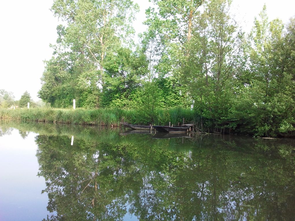 Album - Marais-Poitevin