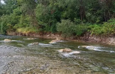 Démarrage travaux de diversification d'habitat sur le Bas Verdon 