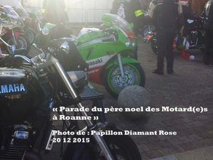 « Parade du père noel des Motard(e)s   à Roanne »   Photo de : Papillon Diamant Rose 20 12 2015