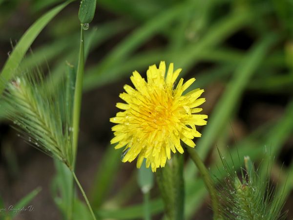 Cliquer sur une photo pour la voir en grand format (et faire défiler) - photos du 22 mai 2024