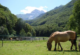 Et voici venir... les camps d'été!