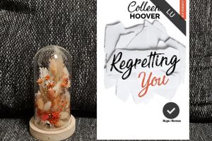 Avis Lecture - Regretting You - Colleen Hoover 