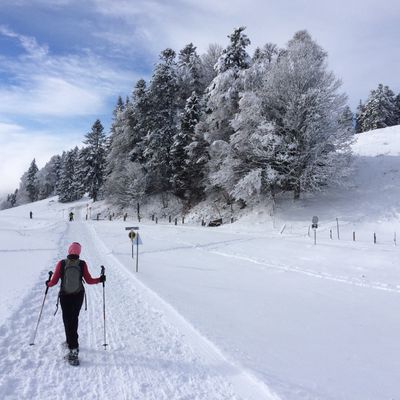 Rando raquettes à Saint-Cergue