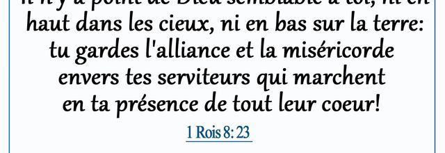 1 ROIS 8:23 