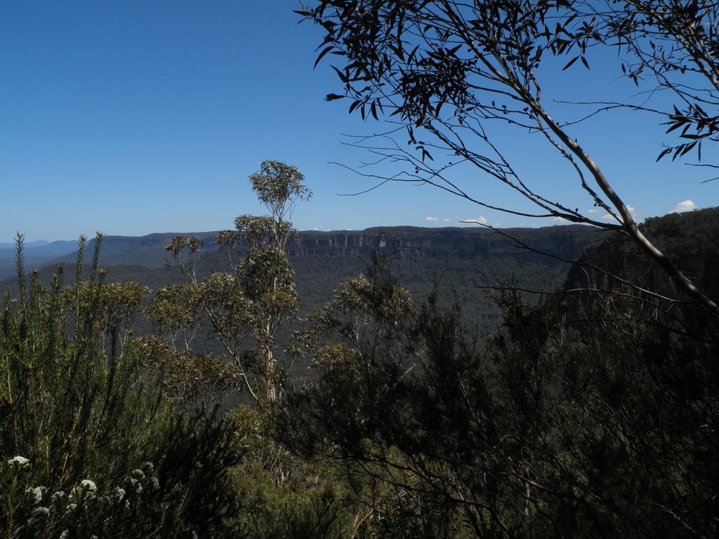 Par National des Blues Mountains, Katoomba (près de Sydney)