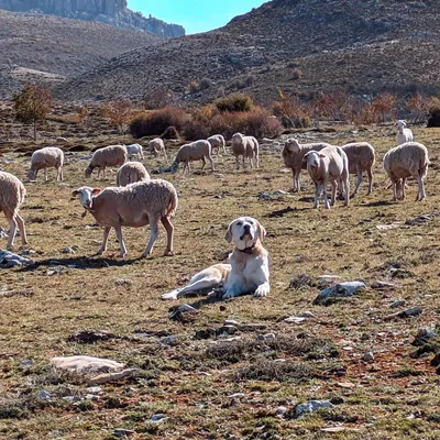 3 jours à la Sierra de Segura