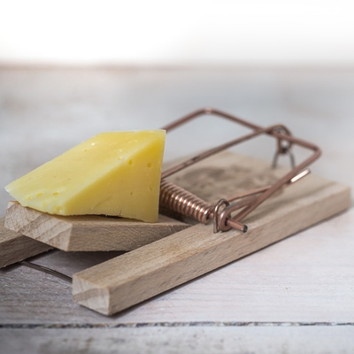 « Comment #Macron a préparé un piège aux députés pour faire adopter son #budget ! ». L’édito de Charles SANNAT