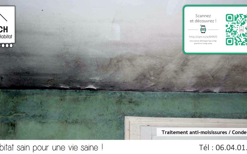 Comment traiter les moisissures et les problèmes de condensation ?