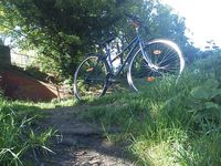 Les 3 photos du début: mon trajet à vélo chaque jour :D Les 2 en bas: Roath Park à côté de chez moi!