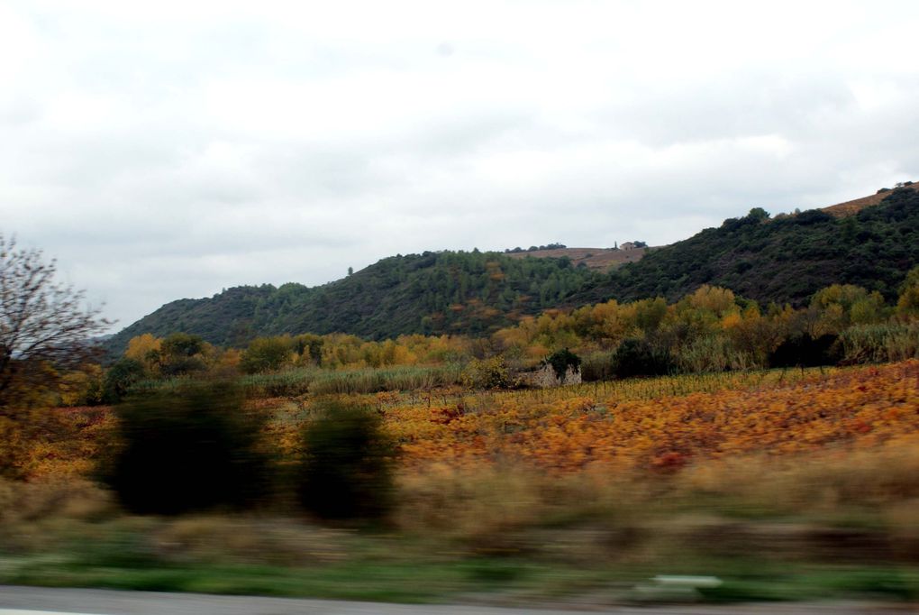 Pennautier, l'Aude, Carcassonne et ses environs... le canal du Midi... Les photos de ma région d'adoption.