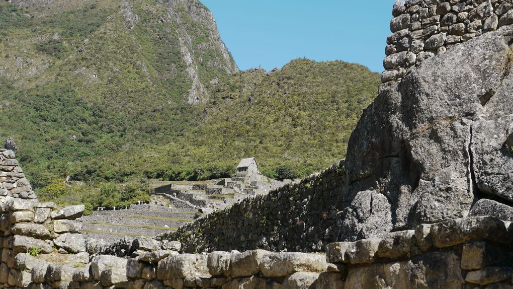 Le Machu Picchu sous tous ces angles. Album tout particulièrement dédié à Anne-Marie en souvenir de son voyage au Pérou et à Laura qui rêve de le découvrir.