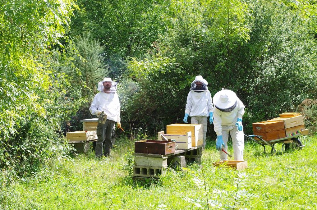 La récolte du miel des happy'culteurs