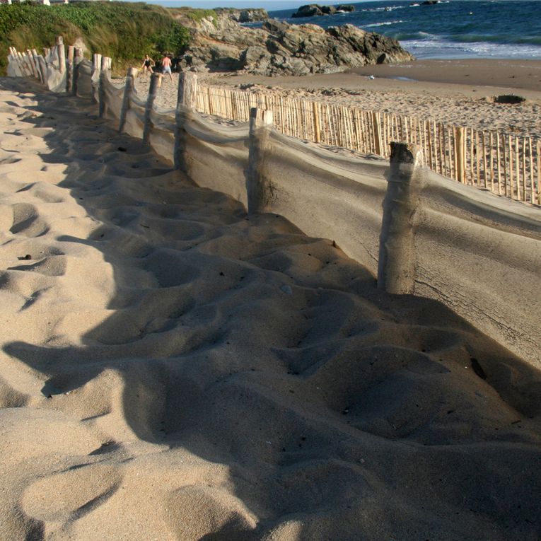 Album - Dunes et Plages