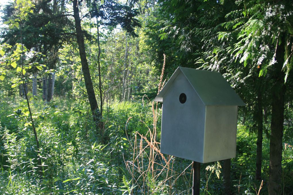 Album - Jardin-Metis