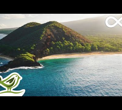 Relaxing Music with Beautiful Nature - Peaceful Piano & Guitar Music by Soothing Relaxation