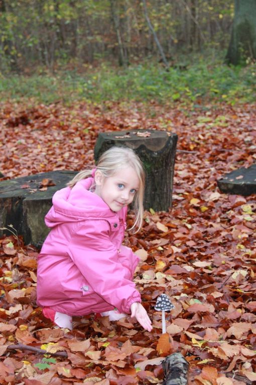 Album - 2011 10 - Rentrée et Noël 2011