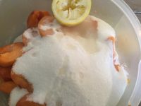 Confiture d'abricots et ses amandons
