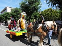 Les chars de la Sant Aloi 2014