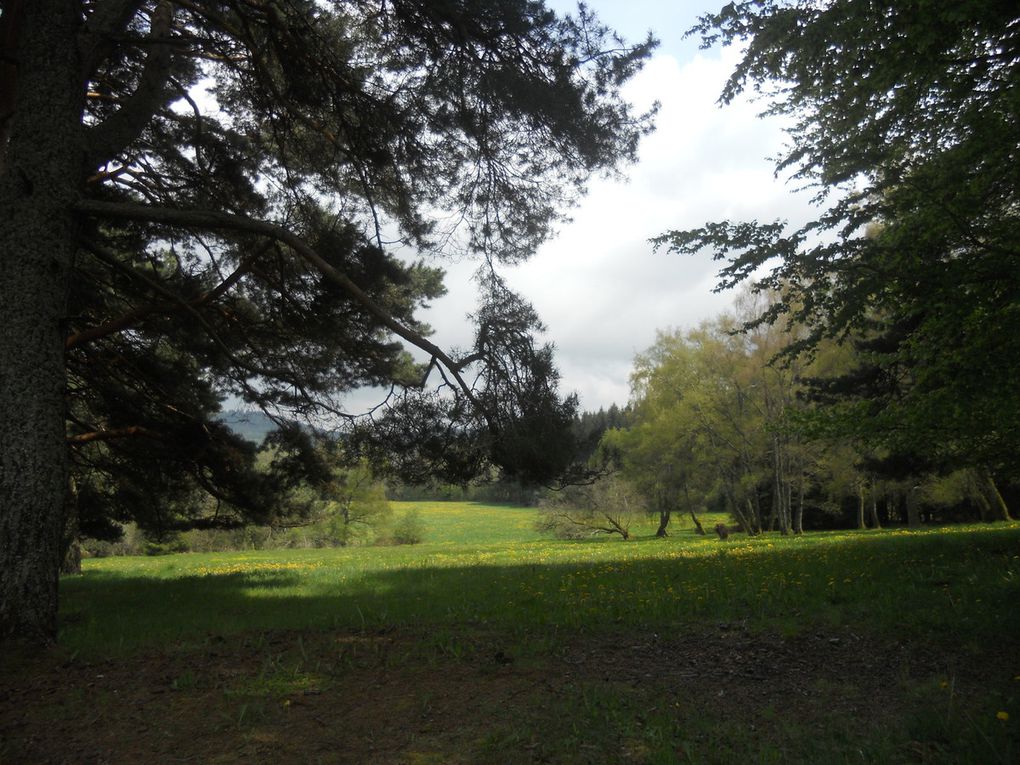 Samedi 14 Mai, Autours des Puys, 45kms et 1000D+