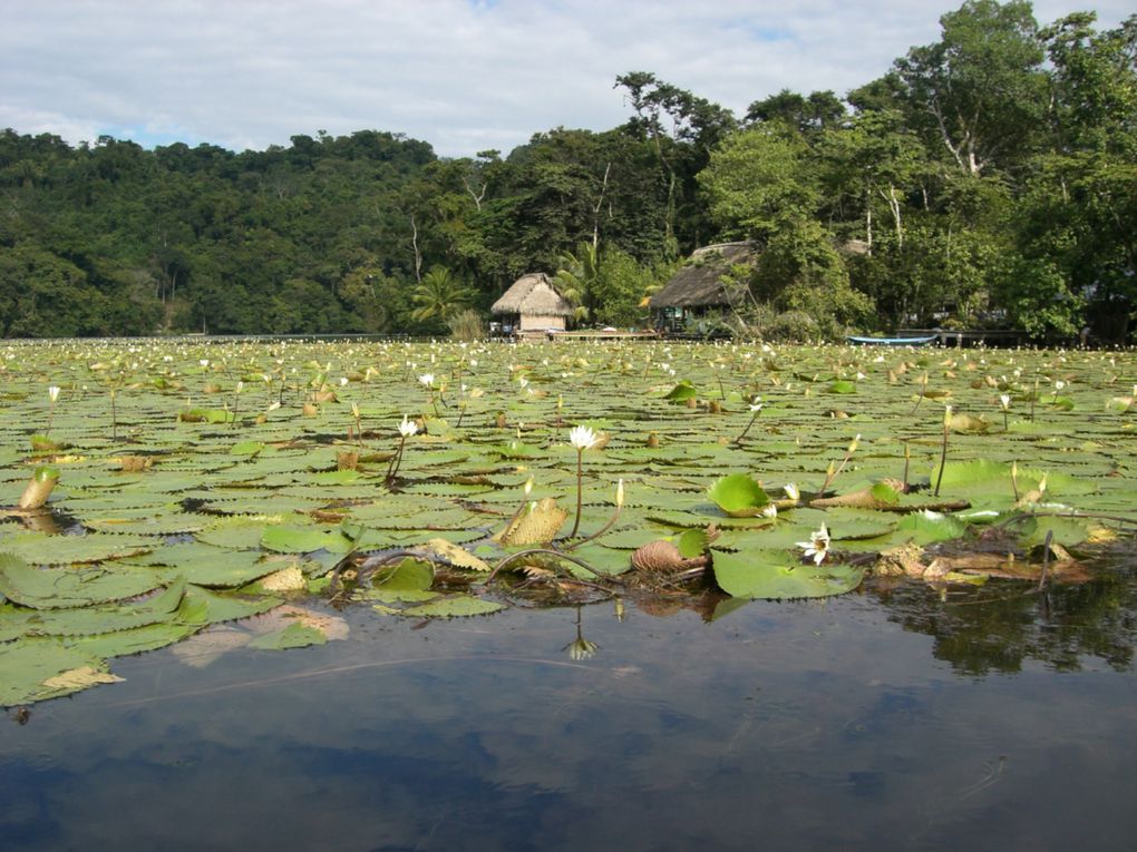 Rio Dulce et Livingston